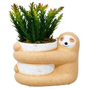 Wholesale - 6.7"L Ceramic Animal Planter wSucculent C/P 4, UPC: 661838850221